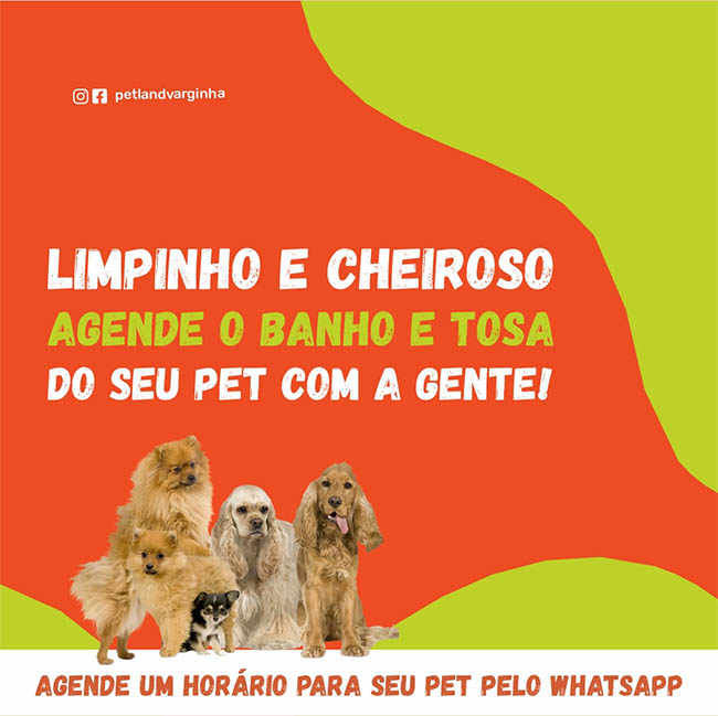 Banho e tosa perto de mim: a Petland está pertinho de você!