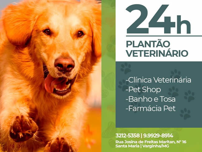 Banhos e Tosa - Clínica Veterinária Espaço Animal 24h